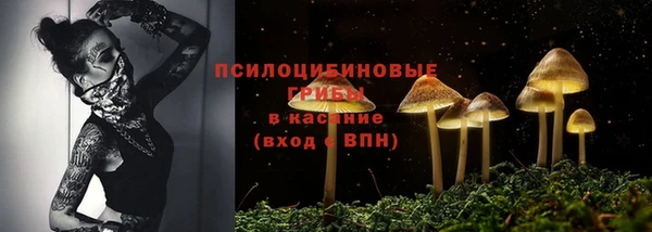 COCAINE Няндома