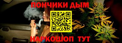 прущие крисы Заводоуковск