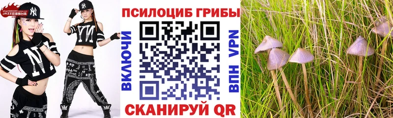 Галлюциногенные грибы Cubensis  цена наркотик  Семилуки 