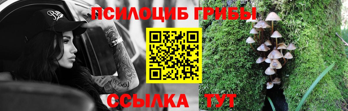 Галлюциногенные грибы прущие грибы Семилуки