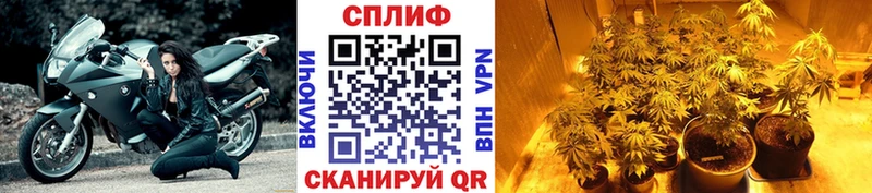 Конопля Amnesia  Семилуки 